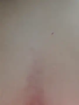 AmandaS2k online show from April 2026 03:42:02 PM