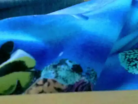 Snapshot of zhan7965 chatting on December 2024 01:03:02 PM zhan7965 online show from December 2024 01:03:02 PM