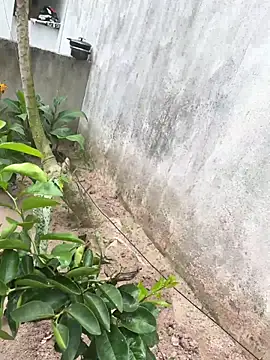 king cum  online show from February 2026 02:24:02 PM