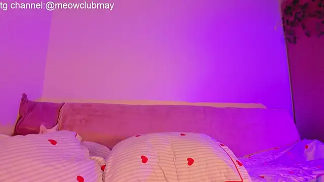 may meowww online show from November 2025 07:29:01 AM