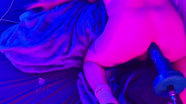 BJSchlect online show from March 2026 10:00:02 AM