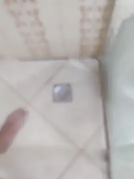 Snapshot of carvalhesco chatting on December 2025 03:33:02 AM carvalhesco online show from December 2025 03:33:02 AM