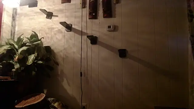 UnCuTupTheBuTT online show from November 2025 09:26:02 AM