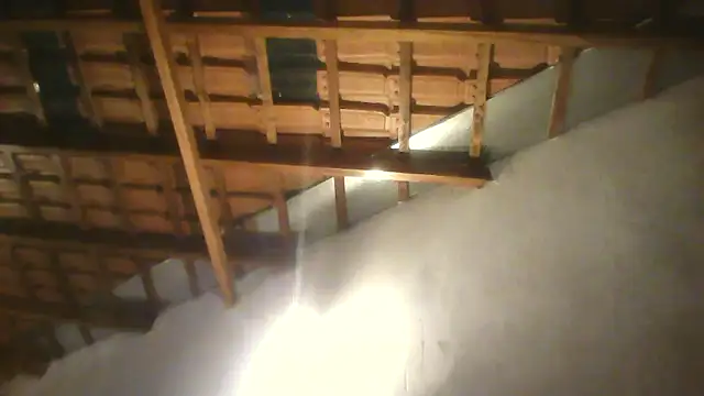 Snapshot of Sarahmonesexy chatting on September 2025 01:49:01 AM Sarahmonesexy online show from September 2025 01:49:01 AM