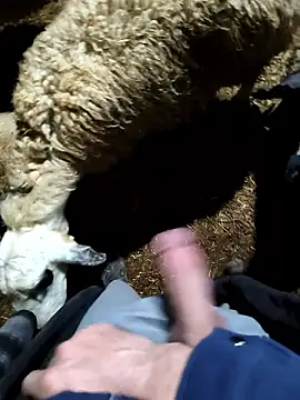 murokkk31 online show from January 2026 11:28:01 PM