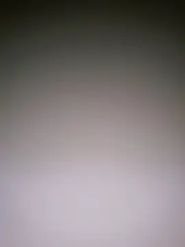 Dorset8360 online show from January 2025 05:02:01 PM