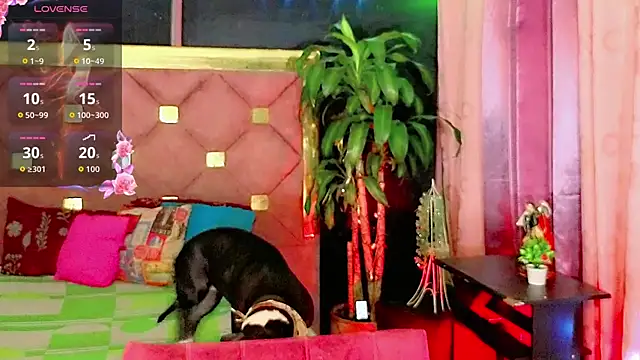 the-horus-girl online show from March 2026 10:58:01 PM