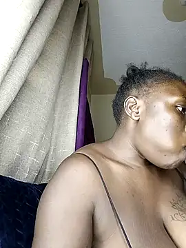 Golden diver online show from March 2026 03:18:01 PM