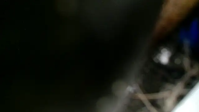 Snapshot of Gigadickman chatting on December 2024 11:40:01 PM Gigadickman online show from December 2024 11:40:01 PM