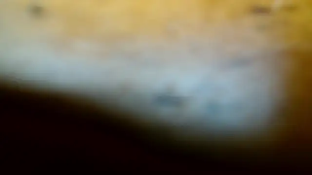 Snapshot of Gigadickman chatting on February 2025 11:57:02 PM Gigadickman online show from February 2025 11:57:02 PM