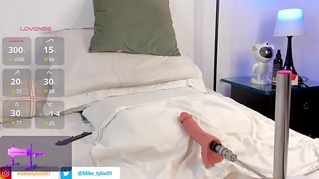 mike tylor01 online show from November 2025 10:30:02 PM