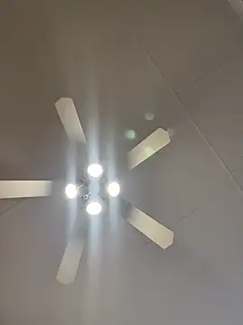 Dicktator16 online show from February 2026 03:31:01 PM