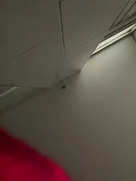 Zara dulce online show from February 2026 12:02:01 PM