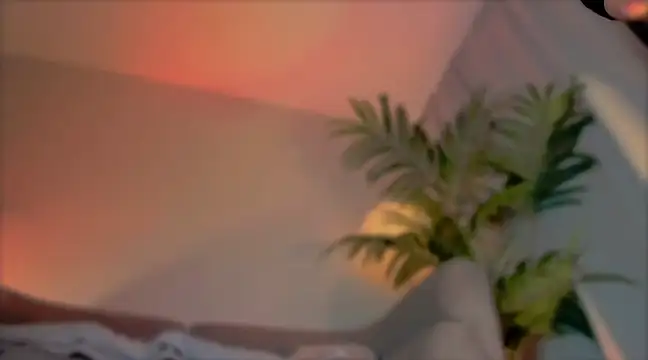  cherry bloss  online show from March 2025 05:21:02 AM