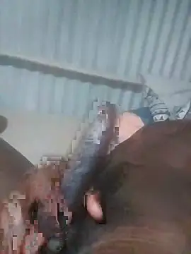 Snapshot of advocate2 chatting on November 2025 06:13:01 AM advocate2 online show from November 2025 06:13:01 AM