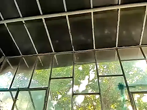 Snapshot of Milky_hairy_mommy chatting on September 2025 01:00:02 PM Milky hairy mommy online show from September 2025 01:00:02 PM