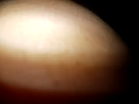 Cheny26 online show from April 2026 03:39:02 AM