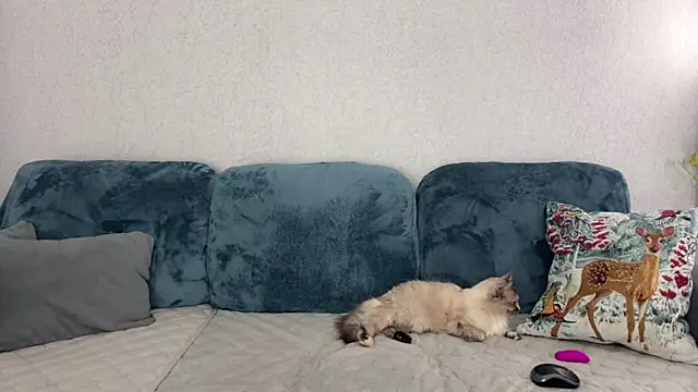 Snapshot of Victoria1Love chatting on March 2025 06:23:01 PM Victoria1Love online show from March 2025 06:23:01 PM