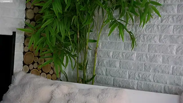 LowOncoming online show from March 2026 01:55:01 AM