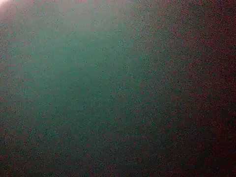 mumbi91 online show from January 2025 01:59:01 AM