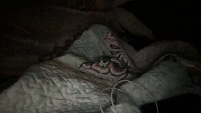 loveofbea online show from October 2025 05:07:01 AM