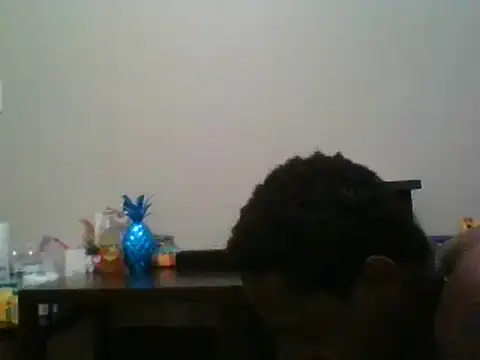 Snapshot of Hugedick0071 chatting on January 2025 10:58:01 AM Hugedick0071 online show from January 2025 10:58:01 AM