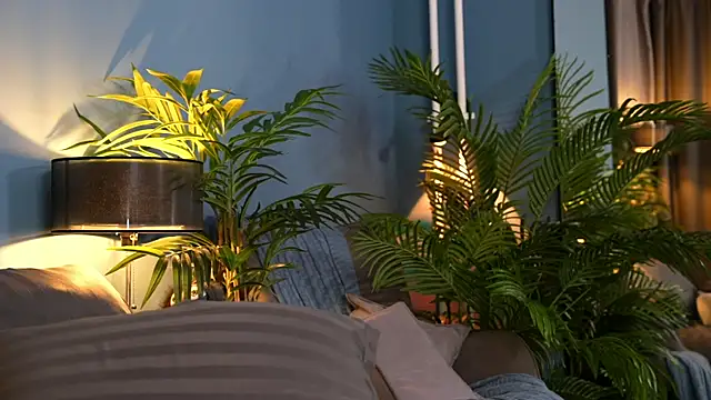  keeti  online show from October 2025 06:01:02 AM