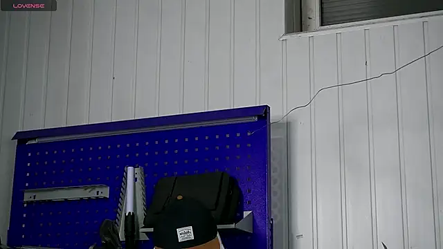 dustyn fox online show from November 2025 03:08:02 PM