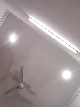 sona-877 online show from February 2026 06:44:01 PM