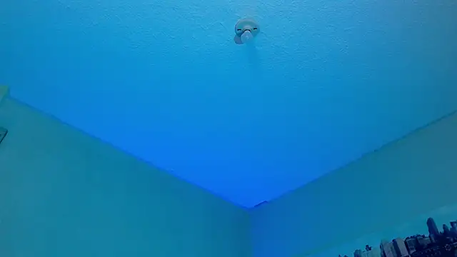 Andy bapho online show from January 2025 05:41:01 PM