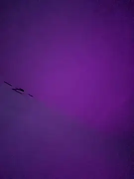 LiosArmando420 online show from January 2026 01:59:01 PM