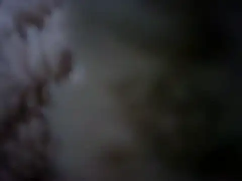 Snapshot of 07YUKIO chatting on January 2025 10:08:02 PM 07YUKIO online show from January 2025 10:08:02 PM