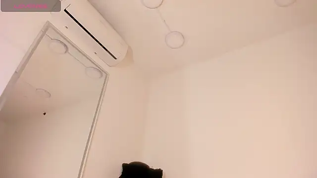 vera candella online show from November 2025 11:21:01 AM