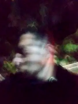 mis312 online show from March 2025 01:45:01 AM