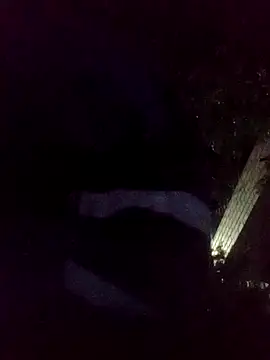 mis312 online show from November 2025 06:40:02 AM