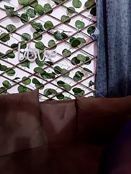 Snapshot of Bold-Cat chatting on February 2025 06:02:01 PM Bold-Cat online show from February 2025 06:02:01 PM