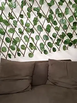 Snapshot of Bold-Cat chatting on October 2025 08:16:02 PM Bold-Cat online show from October 2025 08:16:02 PM