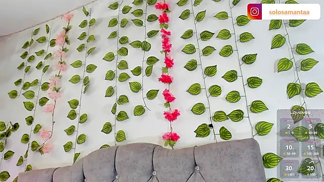 Charlie Williams online show from February 2026 08:29:01 PM