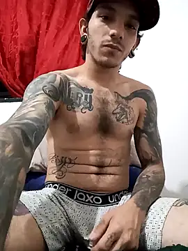HornetBigDickonYou online show from February 2025 02:38:01 AM