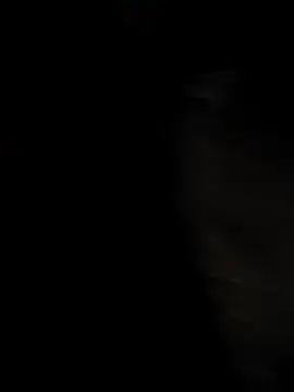 tamilbull07 online show from December 2025 12:14:01 PM