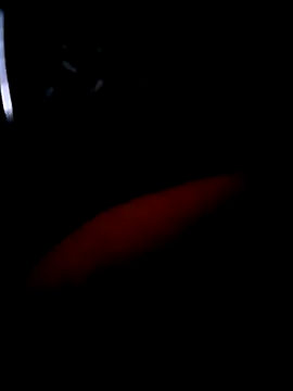 pascalino100 online show from April 2026 12:02:01 PM