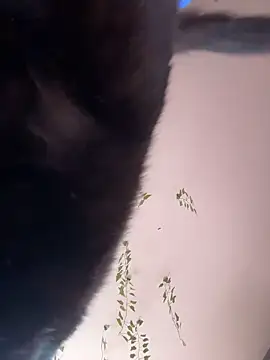 -Sexy Barbie- online show from October 2025 02:33:01 AM