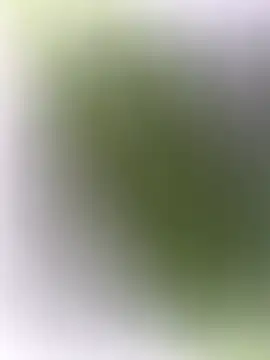 mrwright878787 online show from December 2024 07:14:01 PM