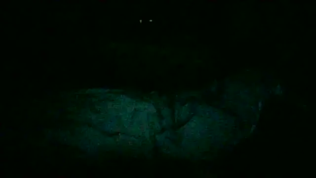 DI4MOND FIR3 online show from November 2025 12:24:01 AM