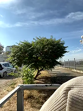 SandraCarter online show from September 2025 06:04:02 AM