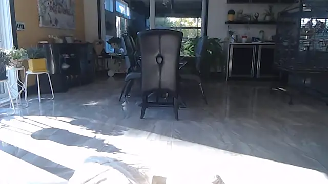 Toy-Daddy online show from October 2025 06:43:01 PM