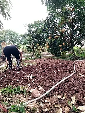 Fuckmehard2xx online show from December 2025 03:05:01 AM