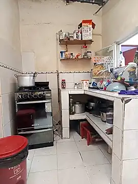 florecita9 online show from December 2024 09:04:02 PM