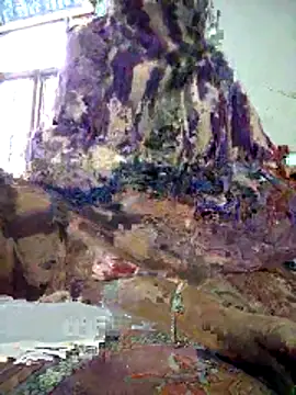 FeltedEuropium online show from December 2025 08:09:01 AM