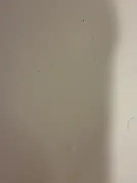 Serkan3356 online show from February 2026 12:31:01 PM